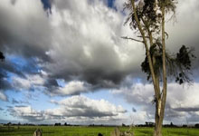 湖人新赛季赛程有哪些看点？卫冕之路会遇到哪些挑战？